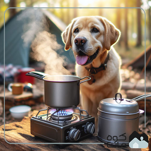 A dog sits next to a travel stove in the woods