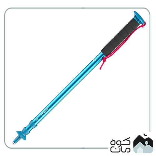 FORCLAZ brand climbing cane