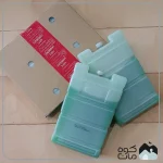 یخ خشک مایع GCCS مدل آیس پک بسته دو عددی