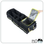 نظم دهنده صندوق خودرو کایوت